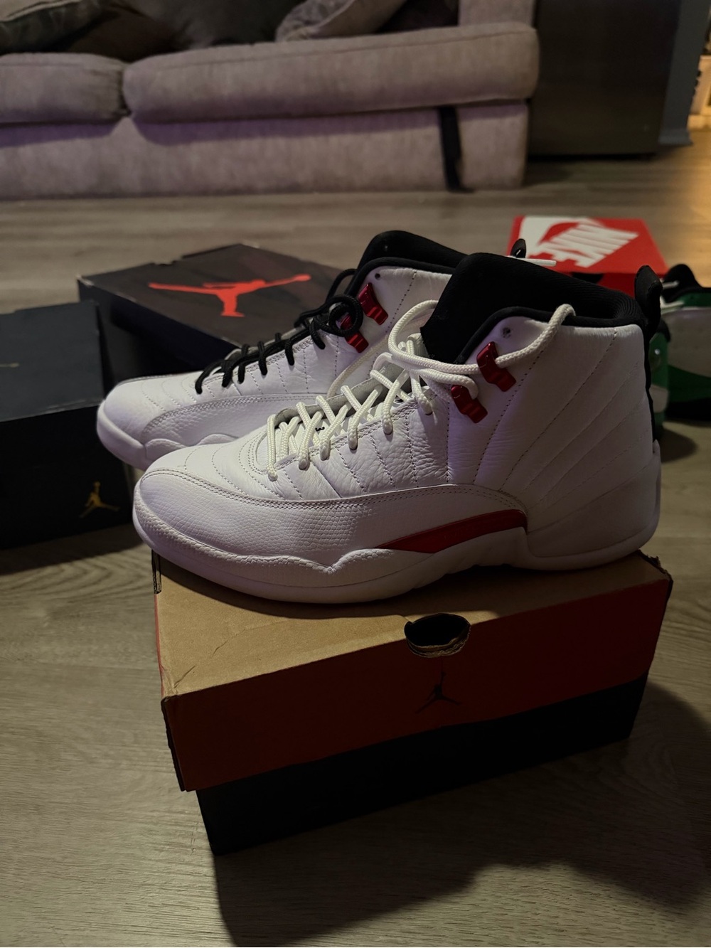Jordan 12 “Twist” 8.5